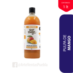 ArteVentasDePuebla_PulpaMango